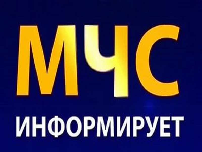 Информация о противопожарной обстановке в Поддорском муниципальном районе за 10 месяцев 2023 года.